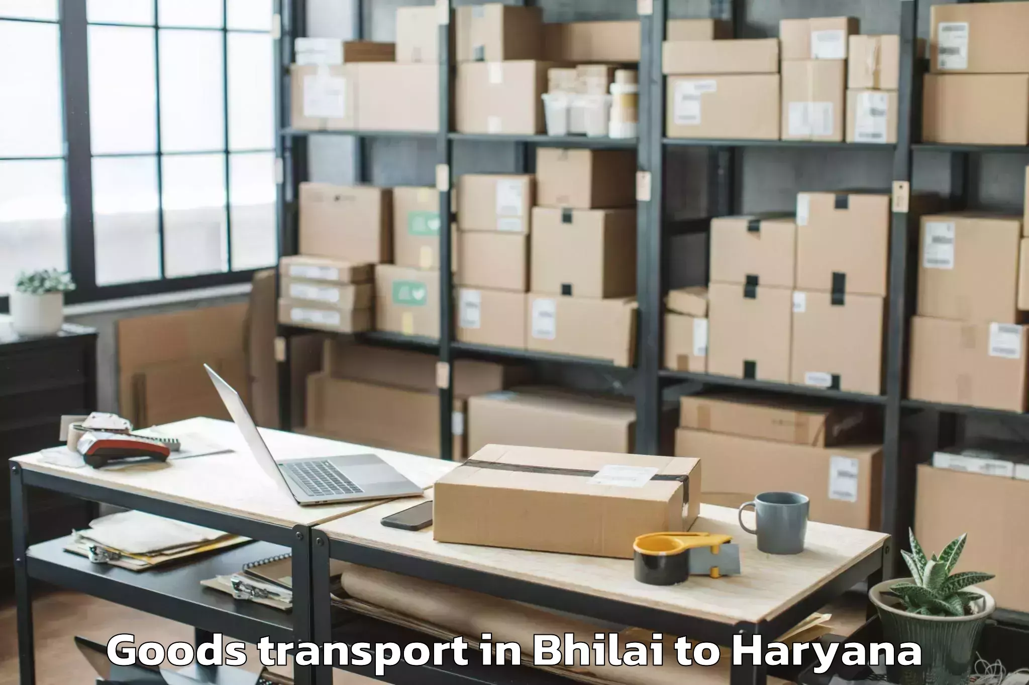 Leading Bhilai to Abhilashi University Faridabad Goods Transport Provider